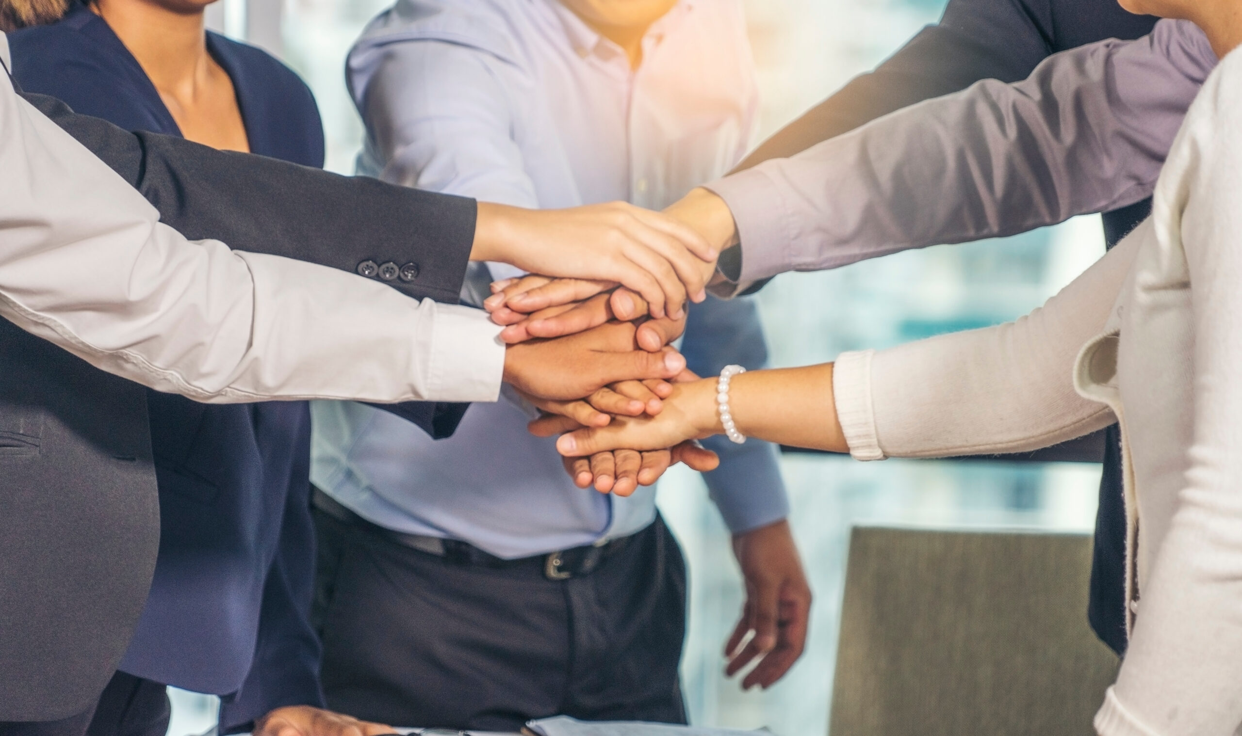 ALPHA FOCUS – Your Trusted Partner in Wholesale Trade